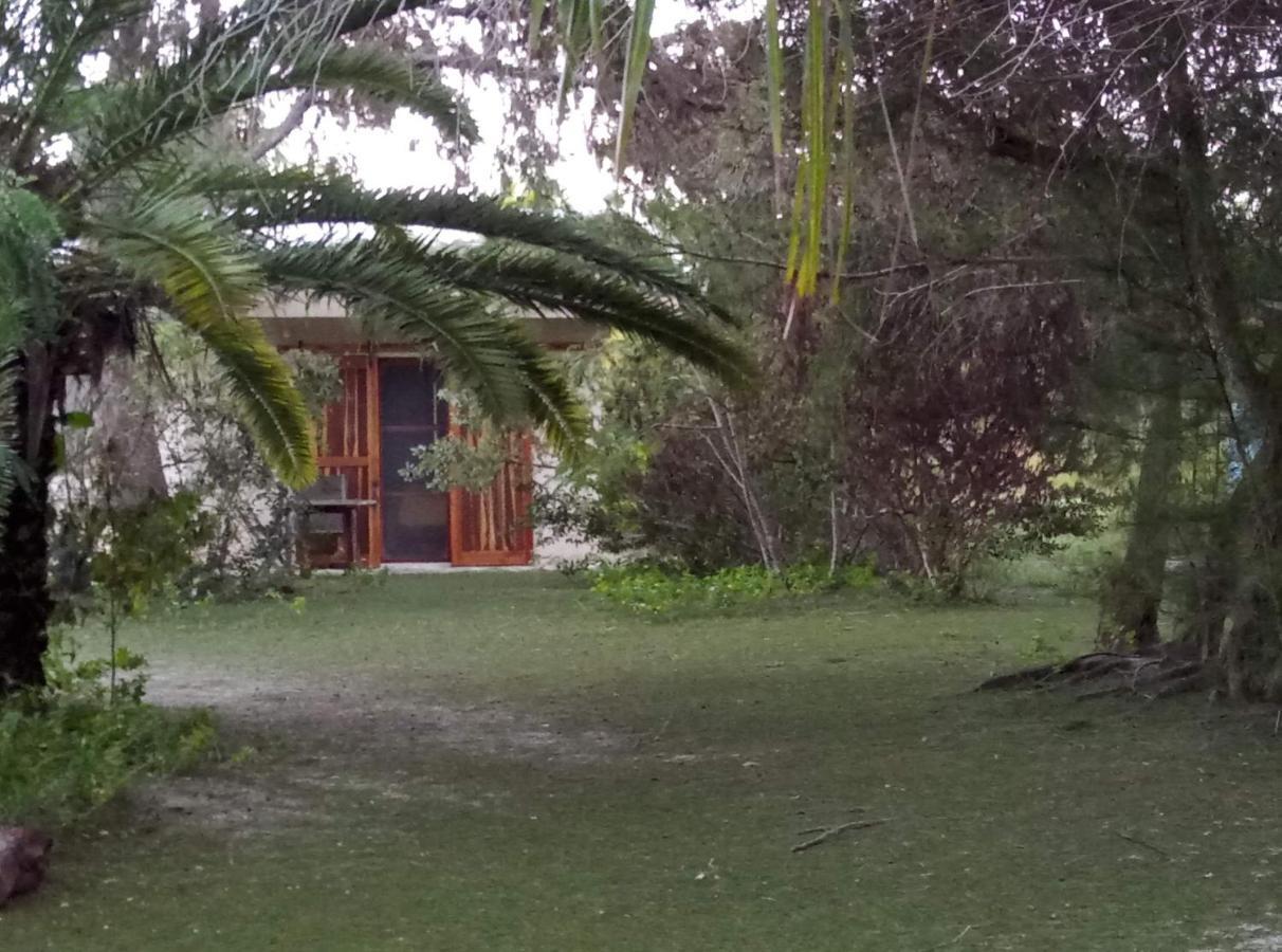Iguanitas Dzilam de Bravo